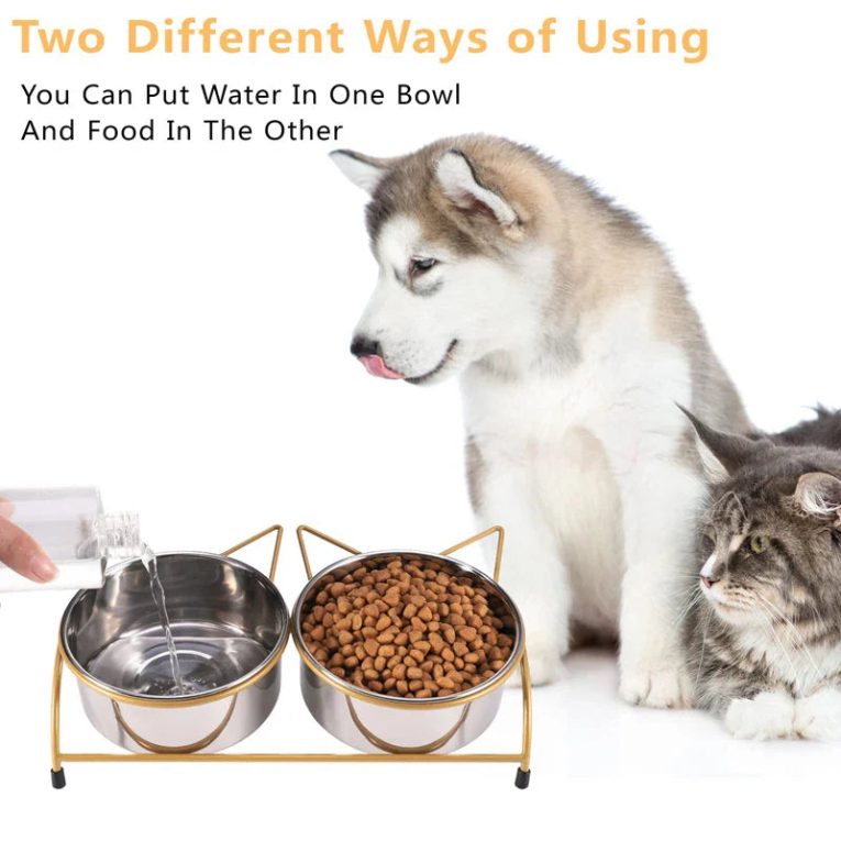 Benepaw-Stainless-Steel-Raised-Double-Cat-Bowls-Tilted-Elevated-Kitten-Food-Water-Bowl-Stand-Anti-Vomiting-2