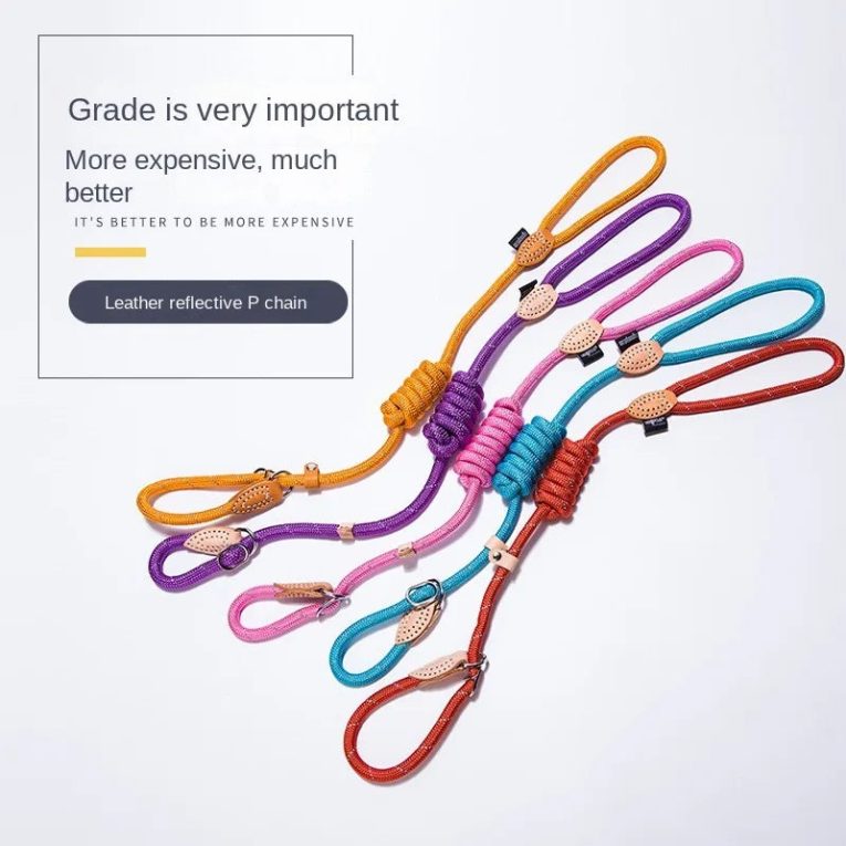 New-Color-Nylon-Reflective-Dog-Leash-Nylon-Explosion-Proof-Training-Dog-P-Chain-Leather-Tip-Reinforcement-1