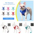 No-Pull-Pet-Dog-Harness-Puppy-Cat-Safety-Vest-Reflective-with-Traction-Leash-for-Small-and-1