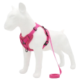 No-Pull-Pet-Dog-Harness-Puppy-Cat-Safety-Vest-Reflective-with-Traction-Leash-for-Small-and.jpg_640x640.jpg__2_1_8d93e084-dea5-4748-9452-c761c8d957e3