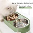 Pet-Cactus-Stainless-Steel-Double-Bowl-Cat-Food-Holder-Dog-Food-Special-Rice-Basin-Oblique-Mouth-1