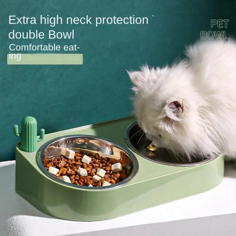 Pet-Cactus-Stainless-Steel-Double-Bowl-Cat-Food-Holder-Dog-Food-Special-Rice-Basin-Oblique-Mouth