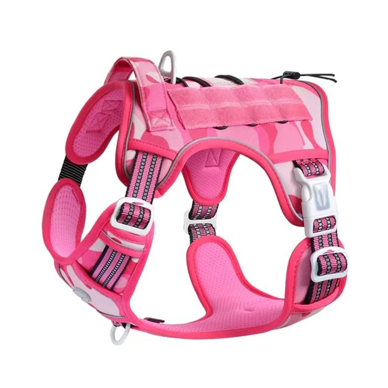 Untitled-10_bb6198f3-c33f-43cf-95e3-8a0ba7ffba2b