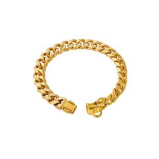Strong Gold Stainless Steel Dog Chain