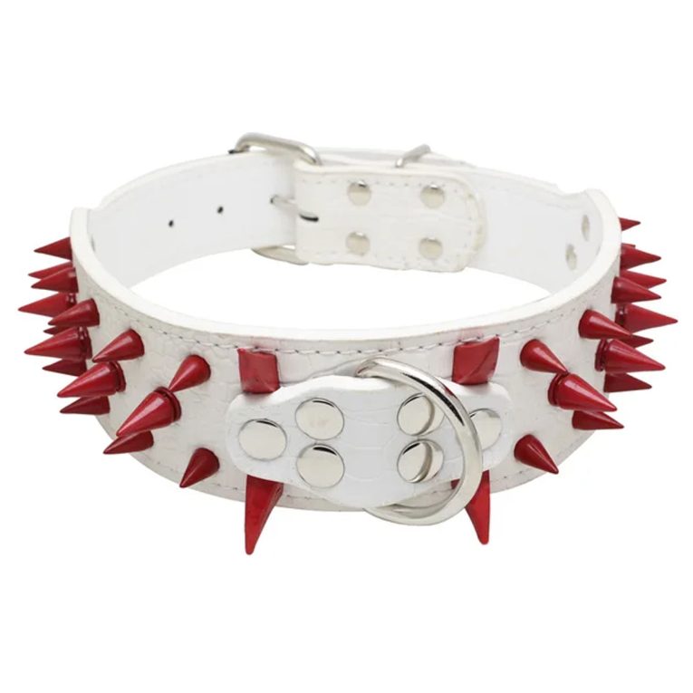 Untitled-1_fd833d04-217f-4ed9-afd0-1a9f8886f394