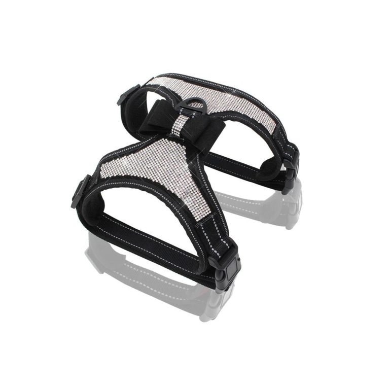 Untitled-2_50ff578d-50b4-4bcf-8dac-80da5e4faef5