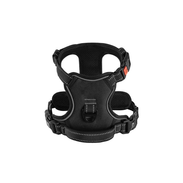 Untitled-2_6f5fd34c-eef2-4714-a899-90fc85735237