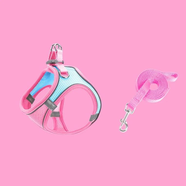 Untitled-2_ef9d00d7-e1b7-419f-85b6-a45e18affb0d