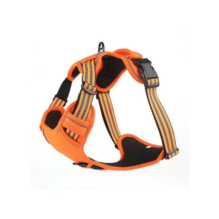 Untitled-3_a97bf151-ac33-4aac-bb92-33ec014a3331