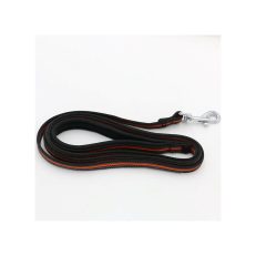 Sturdy Long Dog Training Leash