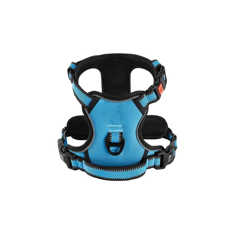 Untitled-3_bb64ac54-cb4d-4f45-8b9e-f72a319b6639