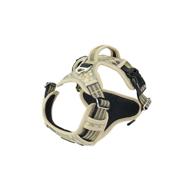 Untitled-4_6526d940-0eea-4987-a3da-fd0151493753