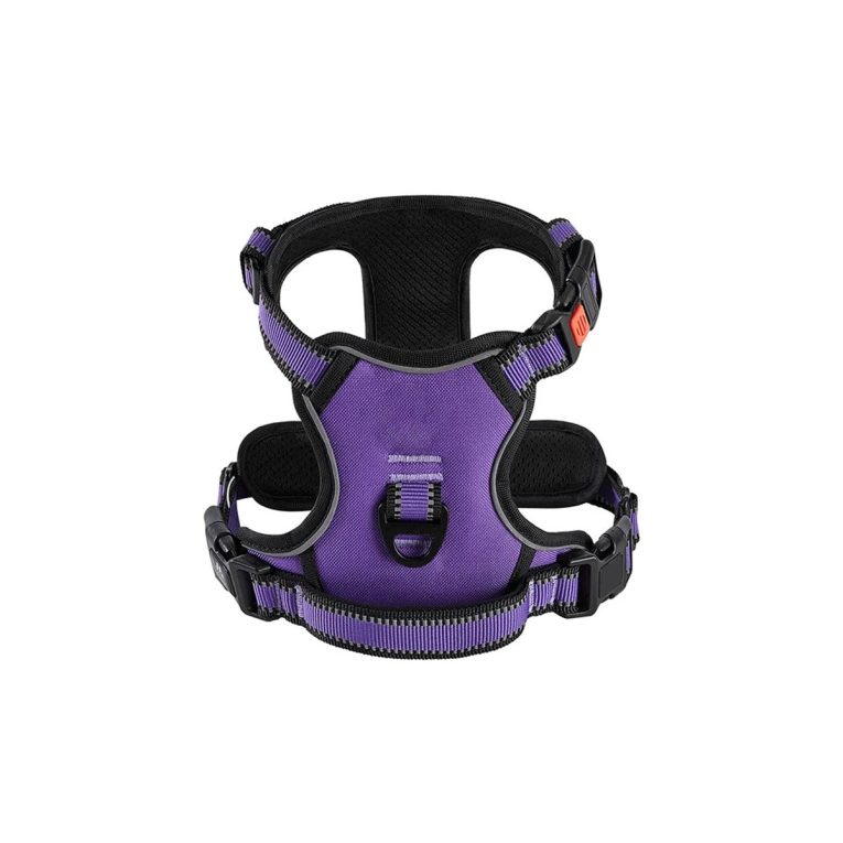 Untitled-4_b5bca1b7-6267-45cd-95a3-7a034c2697b8