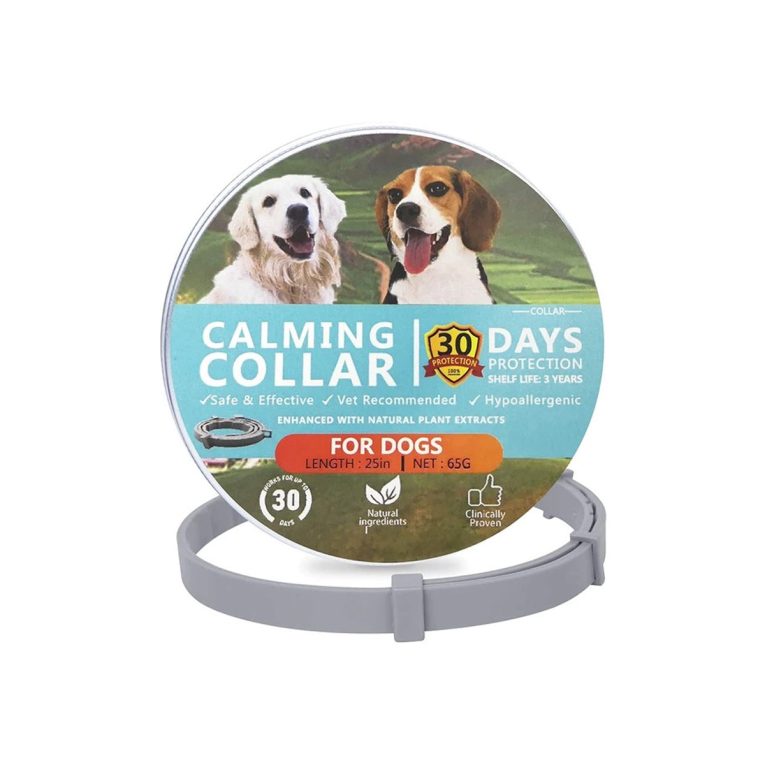 Untitled-8_83daf347-1e41-492c-8a31-d38a53893e44